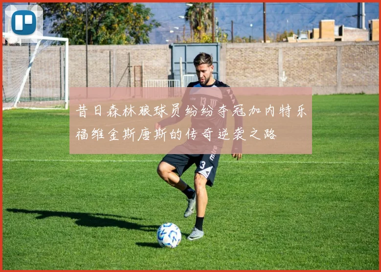 昔日森林狼球员纷纷夺冠加内特乐福维金斯唐斯的传奇逆袭之路