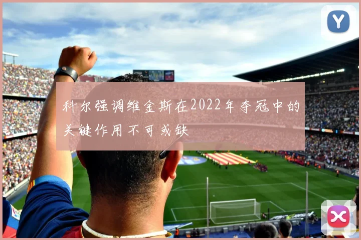 科尔强调维金斯在2022年夺冠中的关键作用不可或缺